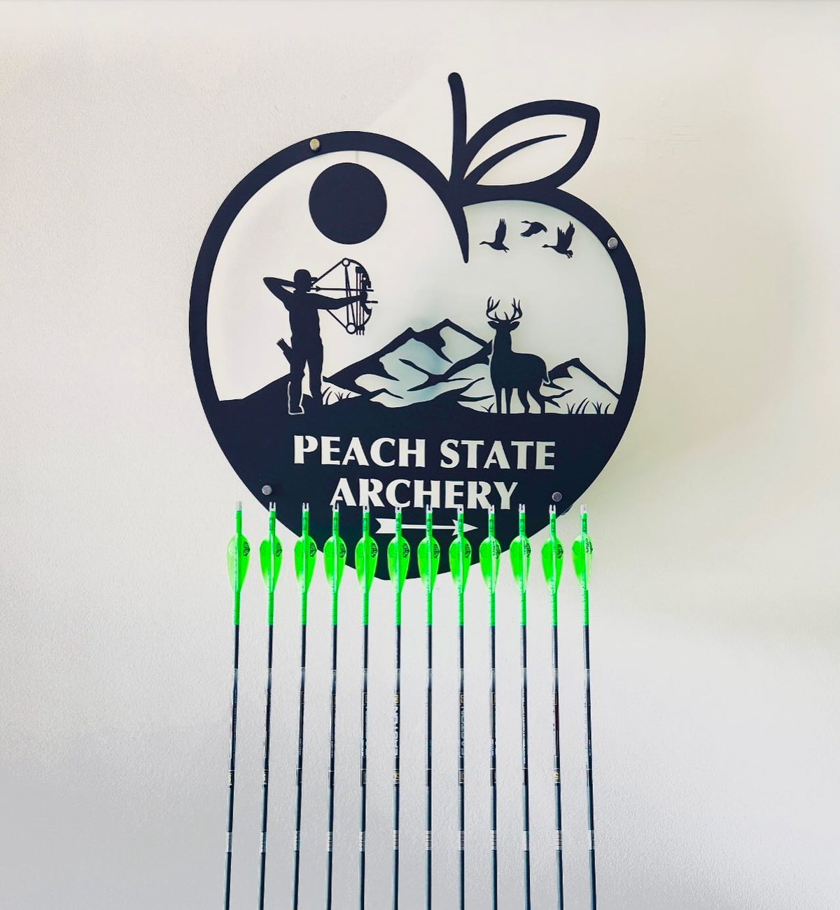 peach state archery education metal signs display