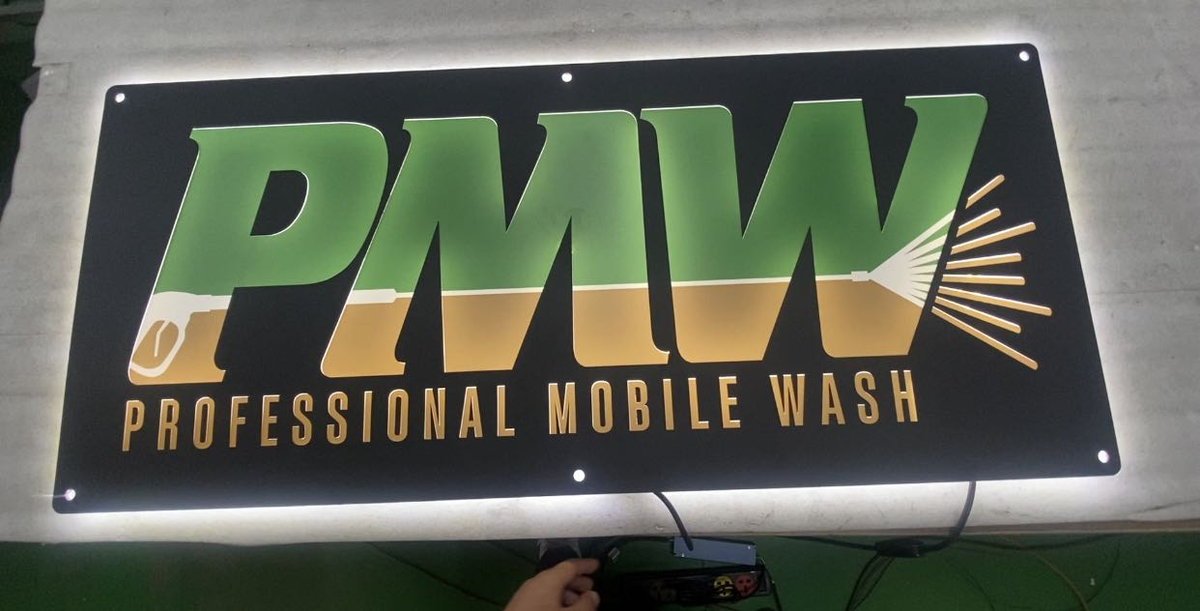 professional mobile wash car detailing service