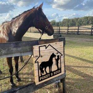 Horse Farm Sign